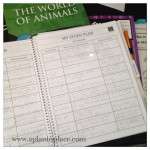 Study Plan