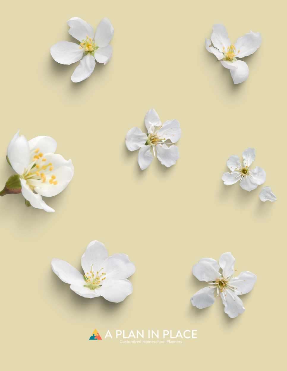 High School Planner, Jasmine Flower cover, Single Page calendar, Dual